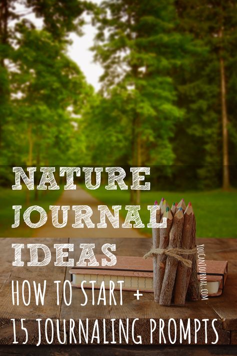 Nature Journal Inspiration, Nature Journaling Inspiration, How To Nature Journal, Nature Journaling Ideas, Nature Writing Prompts, Homeschool Journaling, Nature Journal Cover, Nature Journal Kids, Nature Hobbies