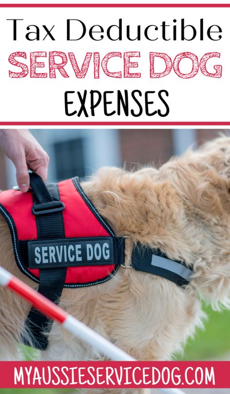 If you have a service animal, you’re probably wondering if they are tax-deductible. The answer is yes! Service animals can be considered to be medical expenses and therefore the costs associated with them qualify as deductions on your taxes. #servicedogs #servicedogexpenses #taxdeductibleservicedogexpenses Service Dog Training Commands, Psychiatric Service Dog Tasks, Service Dog Aesthetic, Mobility Service Dog, Goldendoodle Grooming, English Labrador, Psychiatric Service Dog, Service Dogs Gear, Dog Humor