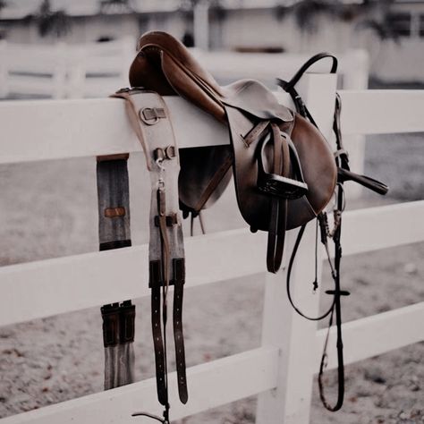 Hunter Jumper Aesthetic, Rich Equestrian Aesthetic, Equitation Aesthetic, Horse Riding Aesthetic, Equestrian Aesthetic, Horse Inspiration, Horse Aesthetic, Equestrian Lifestyle, Equestrian Life