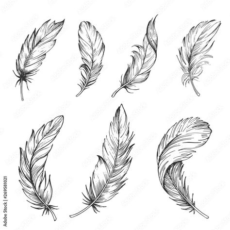 Feather Tattoo Art, Feather Sketch, Feather Outline, Lotusblume Tattoo, Feather With Birds Tattoo, Feather Illustration, Feather Drawing, Feather Tattoo Design, Full Arm Tattoos