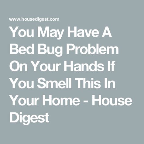 You May Have A Bed Bug Problem On Your Hands If You Smell This In Your Home - House Digest Rid Of Bed Bugs, Bed Bug Bites, Stink Bugs, Old Blood, Bed Bug, Bug Bites, Bed Bugs, Sweet Scents, Pest Control