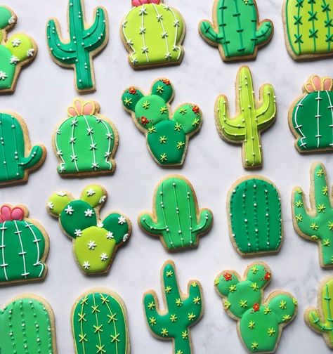 Cactus Royal Icing Cookies, Arizona Cookies Decorated, Cactus Decorated Cookies, Cactus Dessert Ideas, Desert Cookies Decorated, Cactus Cookies Decorated, Cacti Cookies, Decorated Cookie Sets, Cactus Sugar Cookies