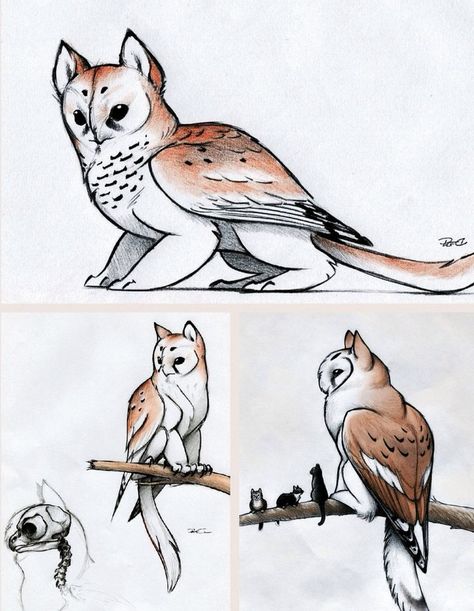 Owl griffin, they are so cute!!! Edited by Kira Claypoole--example for contest Creature Drawing Reference, Dnd Creature Art, Original Species Humanoid, Cute Creature Concept Art, Owl Griffin, Animal Combinations, Hybrid Drawing, Mechanical Creatures, Fantasy Pets