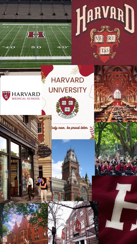 Harvard Graduation, Harvard Campus, University Inspiration, Campus Aesthetic, Law School Inspiration, Medical School Motivation, Dream College, Harvard Medical School, Dream School