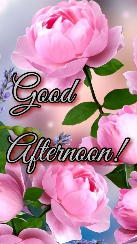 Gud Afternoon Images, Gud Afternoon, Afternoon Messages, Good Afternoon Images, Happy Teachers Day Wishes, Beautiful Flower Quotes, Afternoon Images, Good Afternoon Quotes, Good Night Wallpaper