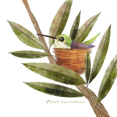 Stephanie Fizer Coleman on Instagram: “Tomorrow is newsletter day and I’ll be sharing 5 inspiring things that I’ve read lately.  Tap the link in my profile to sign up for the…” Nest Illustration, Drawings To Trace, Bird Artists, Ruby Throated Hummingbird, Bird Paintings, Photoshop Artwork, Animal Doodles, Inspiring Things, Love Illustration