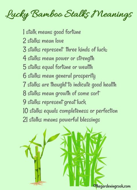 Definition of the stalks of lucky bamboo - each combination means something different for feng shui. #luckybamboo #fengshui #homedecor #indoorplants Lucky Bamboo Care, Plant Growing Tips, Bamboo Plant Care, Plant Meanings, Simple Garden Ideas, Dracaena Sanderiana, Feng Shui Plants, Lucky Bamboo Plants, Bamboo Care