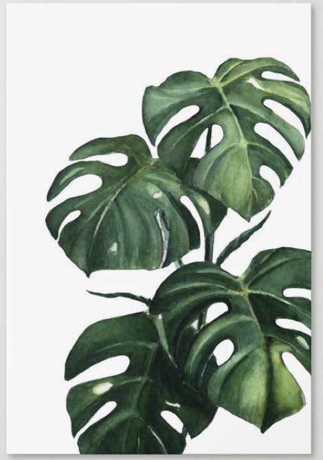 School Wall Art Ideas, Optical Illusion Tattoo, Wall Murals Painted, Watercolor Plants, Monstera Plant, Plant Painting, Tropical Art, Pretty Plants, Leaf Wallpaper