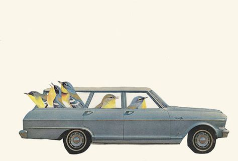 Birds Plants and Vintage Cars Collages – Fubiz Media Aqua Art, Architecture Collage, Bird Art Print, Collage Making, Car Illustration, Album Cover Design, Collage Design, Original Collage, Print Collage