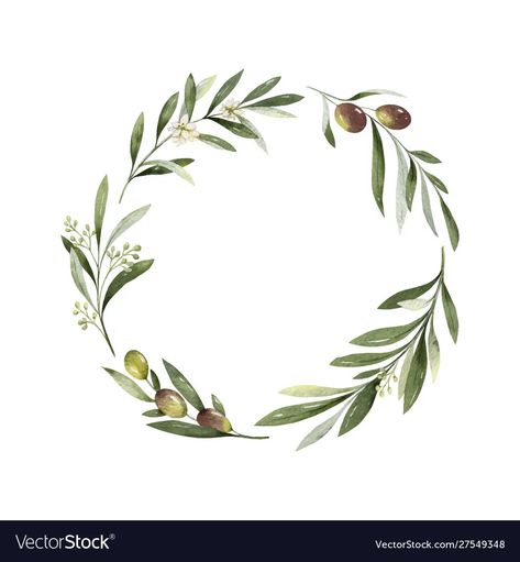 Olive Tree Tattoos, Olive Tattoo, Tree Branch Tattoo, Olive Branch Tattoo, Branch Drawing, Lantern Tattoo, Watercolor Frame, Branch Tattoo, Watercolor Vector