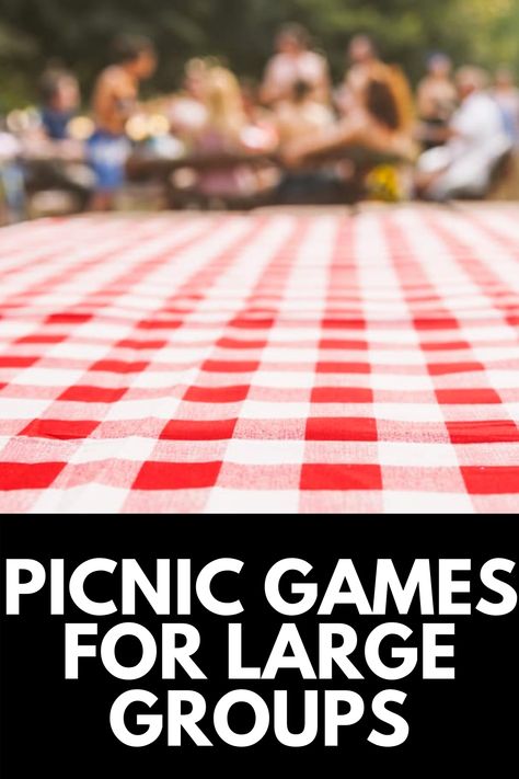 Group Picnic Ideas Outdoor Parties, Backyard Group Games, Game Ideas For Picnic, Outdoor Group Games For All Ages, Large Group Picnic Ideas, Games To Play Family, Games To Play At A Picnic, Competitive Outdoor Games For Adults, Company Picnic Games For Adults