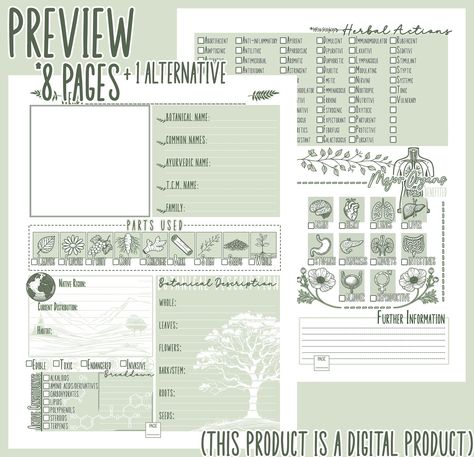 Herbal Medicine Garden Product Information Design Layout, Herbalist Lifestyle, Herb Information, Medicine Garden, Herbal Tinctures, Memorization, Herbal Magic, Journal Template, Wishes For You