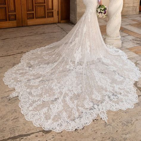 Lace monarch/Royal train Royal Train, Dress Train, Wedding Dress Train, Yes To The Dress, Color Themes, Wedding Dresses Lace, Wedding Ideas, Wedding Dresses, Train