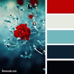 navy blue, red, antique white and medium gray for my bedroom Bedroom Colours, Kitchen Theme, Rustic Wedding Decorations, Winter Rose, Color Palate, Design Seeds, Kitchen Color, Red And Teal, Colour Board