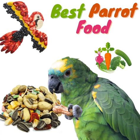 Parrot feeding - Best parrot food | parrot diet and care Parakeet Food, Parrot Diet, Parrot Food, Pet Parrot, Food Diet, Well Being, Animals And Pets, Parrot, Diet