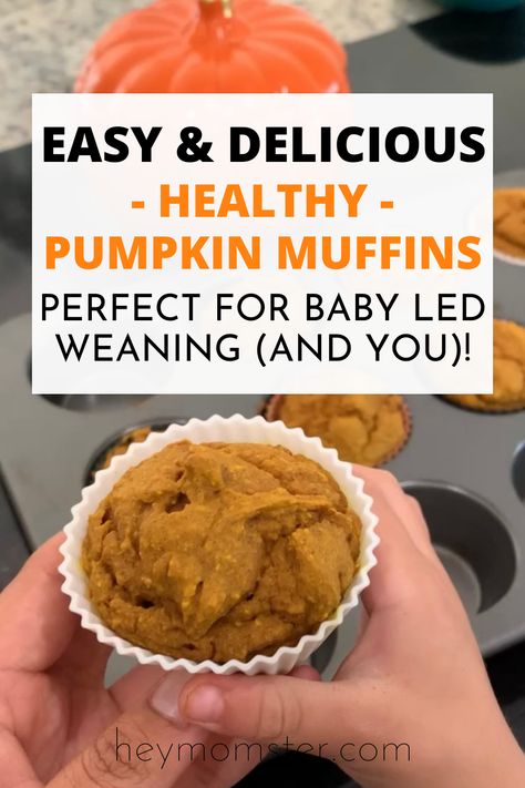 Pumpkin Banana Muffins Baby, Pumpkin Muffin For Baby, Baby Pumpkin Muffins No Sugar, Pumpkin Baby Muffins, Egg Free Muffins For Baby, Pumpkin Muffins For Babies, Pumpkin Muffins No Egg, Pumpkin Muffins Blw, Blw Pumpkin Muffin