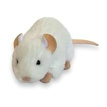 Rat Stuffed Animal, Rat Plush, Mouse Color, Cute Sewing Projects, Mouse Rat, Paper Animals, Star Images, Cute Stuffed Animals, White Fur