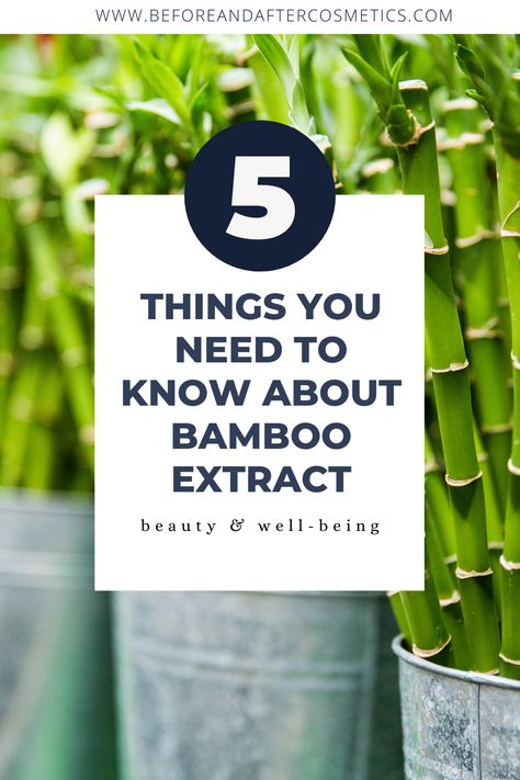 Bamboo has moisturizing, sun-protective, and skin-lightening properties, and of course, it won’t do alone, there are various topical skin care products like creams, lotions, and serum that have bamboo extract infused which are more effective. Studies have shown that bamboo extract is quite a multitasker, aside from moisturizing, it can reduce melanin production which helps dark spots away. Bamboo Extract Benefits, Diy Bamboo, Bamboo Extract, Skin Lightening, Beauty Cream, Cream Concealer, Contour Makeup, Diy Skin Care, Skincare Tips