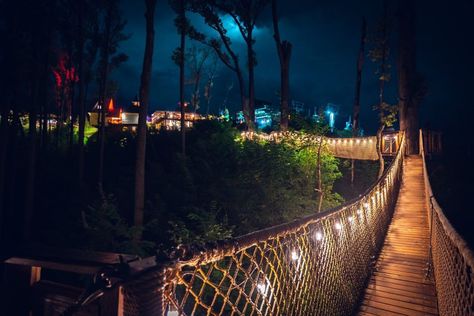 The TreeTop Skywalk, located at Anakeesta in Gatlinburg, is one of the best attractions in East Tennessee. Treetop Skywalk Tennessee, Treetop Skywalk, Anakeesta Gatlinburg, Treehouse Village, Mountain Coaster, Mountains Vacation, Smoky Mountains Vacation, Gatlinburg Tennessee, Tree Canopy