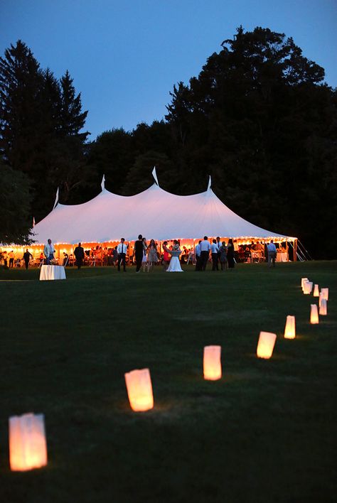 Trey Taylor, Apple Orchard Wedding, At Home Wedding, Wedding Marquee, Hamptons Wedding, Wedding Aesthetics, Orchard Wedding, Vermont Wedding, Wedding Tent