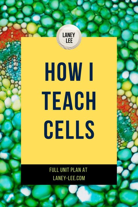 Looking to plan a comprehensive cells unit for your middle school class? Get all the worksheets, presentations, quizzes and tests you need in PDF format! Teaching Cells, Life Science Middle School, Cell Theory, Life Science Activities, Work Notes, School Biology, Basic Science, Middle School Science Teacher, Biology Classroom