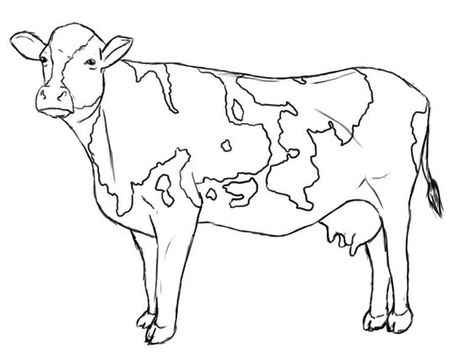 dairy cow line drawings | To make the cow's snout, draw a ... Cow Sketch, Cow Coloring Pages, Cow Drawing, Cow Colour, Cow Pictures, Printable Animals, Cow Painting, Cow Art, Funny Illustration