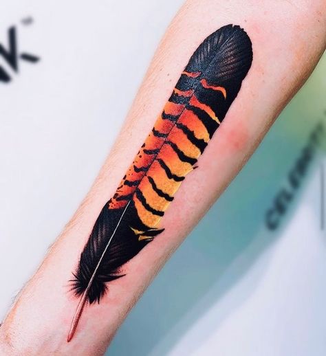 Black Cockatoo Tattoo, Cockatoo Tattoo, Australia Tattoo, Black Cockatoo, Embroidery Tattoo, Feather Embroidery, Feather Tattoo Design, Inspiration Tattoo, Feather Tattoo