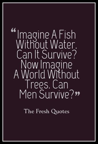 72 Environment Quotes & Slogans - Save our Beautiful Earth | Environment quotes, Environment day quotes, Earth quotes Tree Quotes Nature, Slogan On Save Environment, Save Nature Quotes, Save Environment Posters, Environment Day Quotes, Earth Day Slogans, Nature Quotes Trees, Green Posters, Environmental Quotes