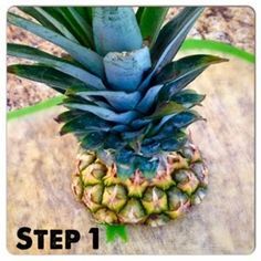 Pinapple Tree, Growing Pineapple From Top, Planting Pineapple Top, Planting Pineapple, Growing A Pineapple, Pineapple Plant Care, Grow Pineapple Plant, Grow Pineapple, Grow A Pineapple