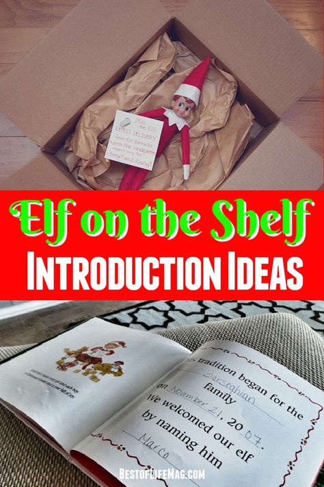 Elf On The Shelf New Arrival, Elf On The Shelf Introduction, Elf On Shelf Names, Elf Introduction, Wlf On The Shelf, Toddler Elf On The Shelf, Kids Christmas Ideas, Fun Christmas Ideas, Christmas Ideas For Kids