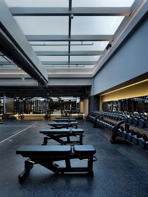 Commercial Gym Design, Small Home Gym Ideas, Luxury Home Gym, Dream Home Gym, Dream Gym, Gym Design Interior, Small Home Gym, Luxury Gym, Workout Room Home