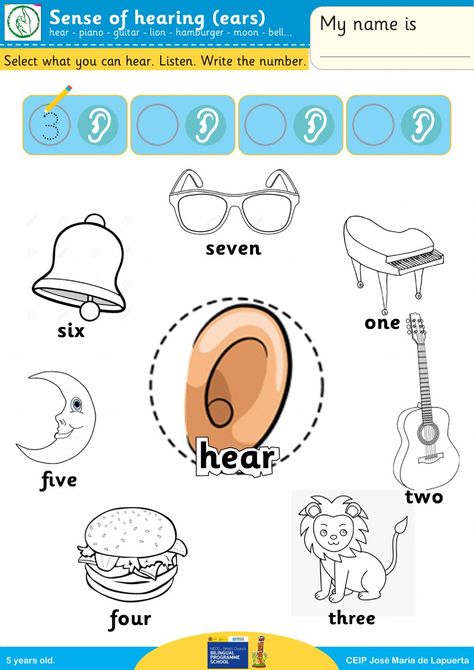 Sense Of Hearing Worksheet, Lowercase Letters Printable, Body Parts Preschool Activities, Five Senses Worksheet, Multiplication Facts Worksheets, 5 Senses Activities, Sense Of Hearing, Nursery Worksheets, Senses Preschool