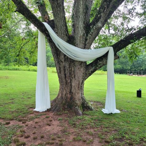 Fig Tree Wedding Ceremony, Willow Tree Wedding Decorations, Decorated Trees For Weddings, Indoor Wedding Reception Decorations Diy, Leadership Pictures, Wedding Drapes, Diy Reception Decorations, Spooky Wedding, Amber Wedding