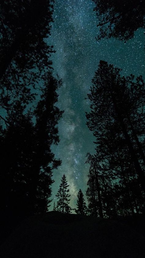 Backpacking Yosemite, Nature Night Photography, Nature At Night, Iphone Wallpaper Music, Space Phone Wallpaper, Dark Nature, Night Sky Photography, Forest Night, Night Sky Wallpaper