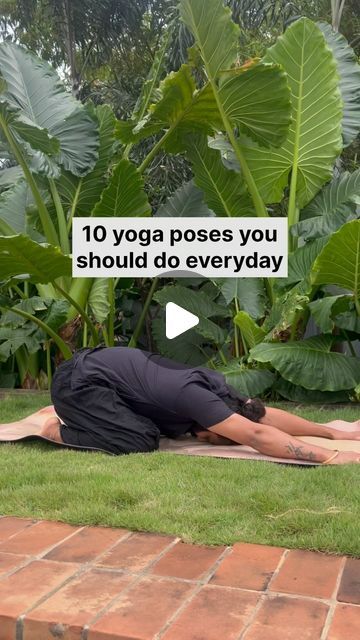 Yaduveer | Yogi on Instagram: "Incorporating yoga into your daily routine can be a game-changer for both body and mind😌 Start your day with these poses, and notice how you feel more centered, flexible, and ready to take on whatever comes your way! . . #yoga #yogateacher #yogapractice #yogainspiration #asana" Meditation Exercises For Beginners, Morning Yoga Flow Beginner, Yoga Flow For Beginners, Streching Excersise Flexibility, Yoga Warm Up Sequence, Easy Beginner Yoga, Yoga Stretches For Flexibility, Mindfulness Room, Yoga Routine For Flexibility