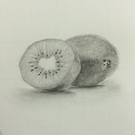 Fruit Drawing Pencil Sketches, Kiwi Sketch, Kiwi Fruit Drawing, Kiwi Drawing, Fruit Sketches, Object Drawings, Tonal Drawing, Mini Drawing, Fruit Sketch