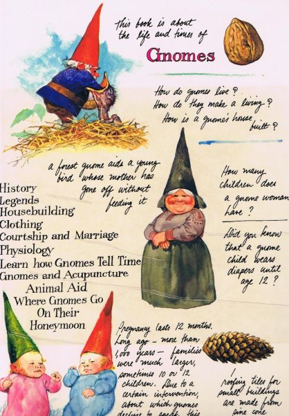 Gnome Names, Gnomes Book, Best Mystery Books, David The Gnome, Magic Land, Best Mysteries, Gnome House, Fairies Elves, Gnome Garden