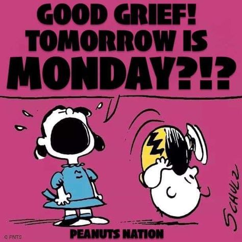 Funny Sunday, Monday Funny, Charlie Brown Comics, Funny Good Morning Messages, Sunday Humor, Monday Sucks, Charlie Brown Quotes, Monday Pictures, Sunday Morning Quotes