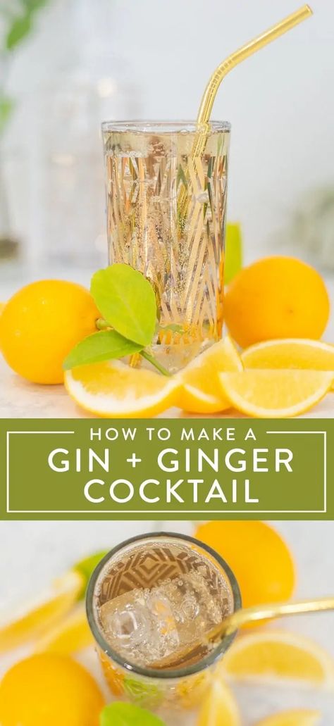 Gin and ginger ale make an absolutely delicious combination! Learn how to mix a perfect cocktail, and find out our favorite extras to make a gin and ginger even better. Click to find out how to customize these two ingredients to make your own cocktail recipes at home, for parties, or for date night. Gin Ginger Ale Cocktails, Gin And Ginger Ale, Gin Ginger Beer Cocktail, Gin Buck, Ginger Cocktail Recipes, Ginger Ale Cocktail, Cocktail Recipes At Home, Ginger Soda, Ginger Beer Cocktail