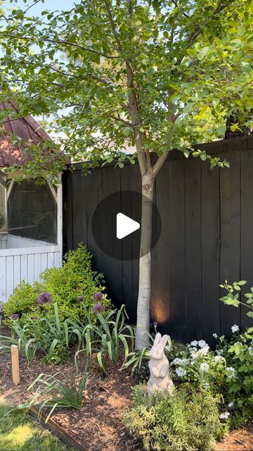 Robbie || Gardening on Instagram: "One of the biggest questions we had asked about is our black fence! I have been loving it and obsessed with it ever since we did it. We used the @behrpaint house and fence wood stain in the color slate. It does radiate a little bit of heat, but honestly, I’ve seen my plants explode with massive growth near the fence. I think that they like the extra heat. it was super easy to paint. We did use a paint sprayer which is the method that I would recommend. We had tried using a roller to take forever! Spend $100 and buy a paint sprayer off of Amazon. Trust me! We bought the Home Right paint sprayer and it’s amazing. Would you do this?   #blackfence #garden #paintedfence #zone9" Painted Backyard Fence, Black Fence Garden, Black Stained Fence, Painting Wood Fence, Black Fence Paint, Black Garden Fence, Fence Paint Colours, Stockade Fence, Concrete Fence Posts