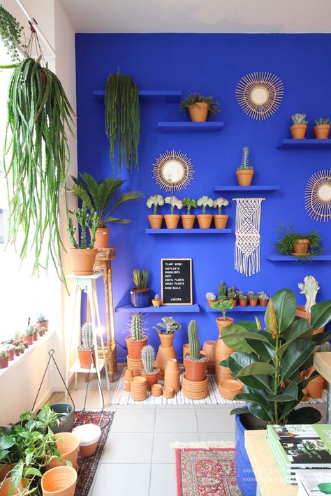 PETITE PASSPORT | THE PLANT CORNER ANTWERP - PETITE PASSPORT Mexican Interior Design, Mexican Interiors, Plant Store, Tanaman Indoor, Plant Corner, نباتات منزلية, Mexican Home Decor, Mexican Home, American Living