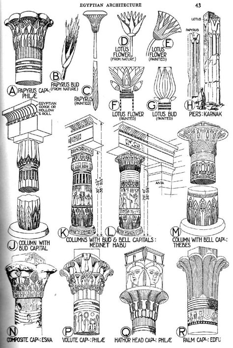 Types of Architecture | Capitals mostly follow the forms of the lotus (emblem of Upper Egypt ... Egyptian Columns, Ancient Egypt Architecture, Ancient Egyptian Architecture, Architecture Antique, Egyptian Design, Types Of Architecture, Architecture History, Egypt Art, Ancient Egyptian Art