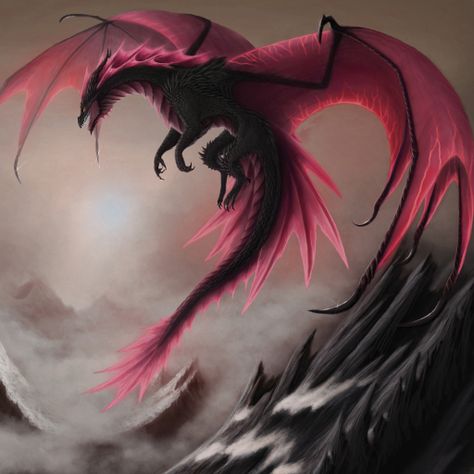 Pink Dragon Aesthetic, Dragon Aesthetic, Demon Tattoo, Aesthetic Roses, Pink Dragon, House Of Dragons, Fantasy Dragon, Profile Photo, Book Aesthetic