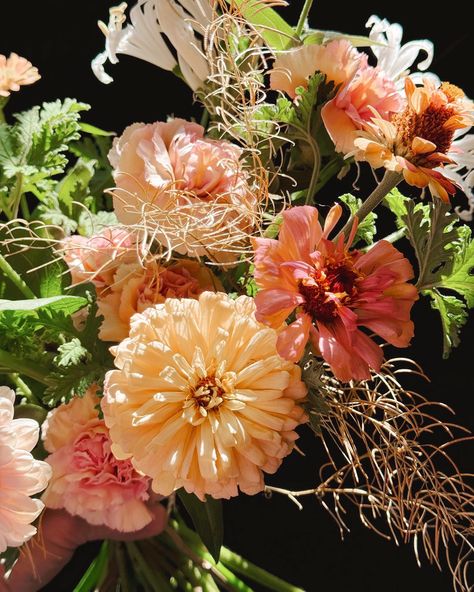 I was having a cute lil time with how these wispy grasses were playing with the pink gerberas, peach zinnias, and nerine lilies for a walk-in bouquet. (Yes, you can stop in anytime, and we can make one for you too!) It’s giving like Little House on the Prairie eleganza, and I loveee. <3 David Grasses, Little House, Are You The One, Lily, Canning, Pink, Quick Saves