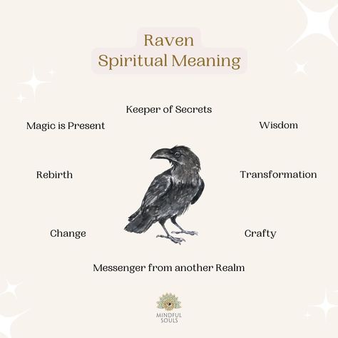 Raven Spiritual Meaning, Crow Meaning, Raven Spirit Animal, Bird Meaning, Spirit Animal Meaning, Animal Meanings, Black Bird Tattoo, Nature Witch, Spiritual Animal