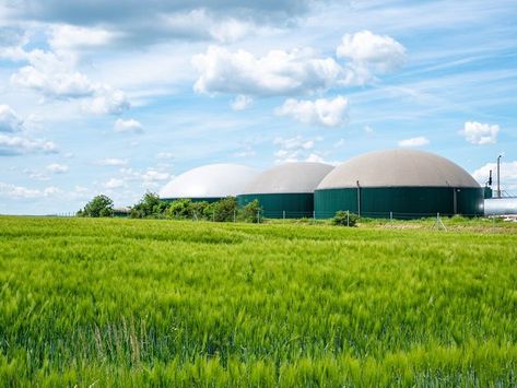 Biogas is a renewable energy source that is good for the environment. It's made when microbes break down organic stuff like food or animal waste in the absence of oxygen, a process known as anaerobic digestion. Biogas Plant, Anaerobic Digestion, Biomass Energy, Industrial Waste, Renewable Sources Of Energy, Sustainable Energy, Organic Matter, Energy Sources, Green Roof