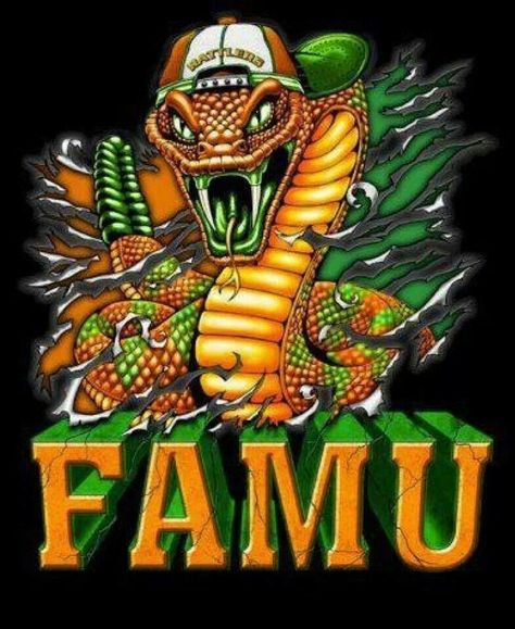 Awesome Hbcu Band, Famu Rattlers, Georgia Dawgs, Dream College, Dream School, Dorm Life, University Logo, College Logo, Football Helmet