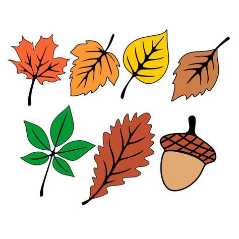 Fall Leaf Template, Cuttable Designs, Monogram Machine, Leaves Autumn, Embroidery Fonts, Fall Nail Designs, Svg Designs, Cool Nail Designs, Fall Leaves