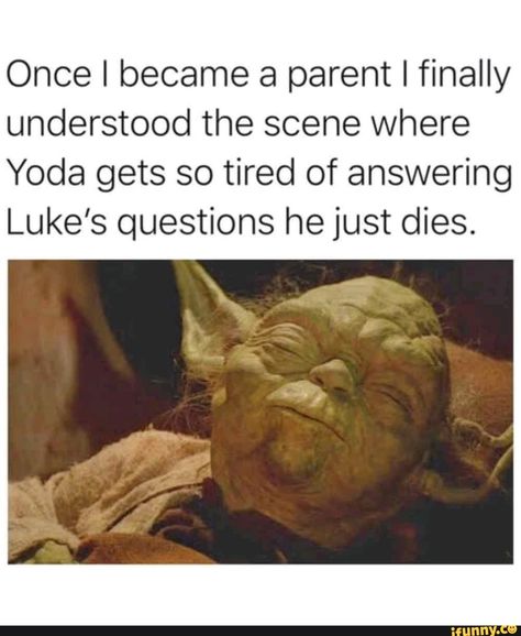 Dungeons And Dragons Memes, Dragon Memes, Dark Vador, Parenting Memes, Memes Humor, Star Wars Memes, Parenting Humor, Dad Jokes, Mom Humor