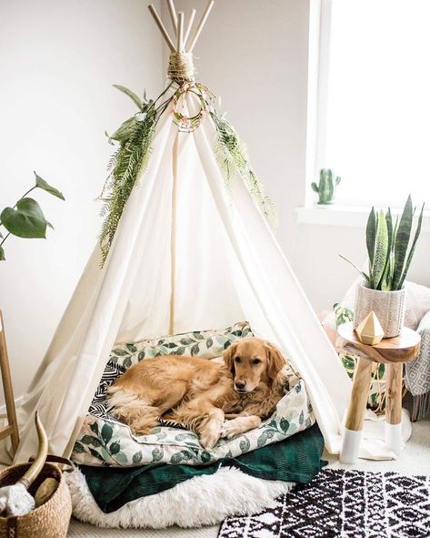 Boho Dog Area, Doggie Nook, Creative Dog Bed, Cat Bed Ideas, Dog Room Design, Dog Nook, Dog Teepee, Dog Den, Dog Bedroom